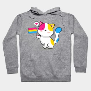 Cute Cat Holding Pansexual Pride Flag Hoodie